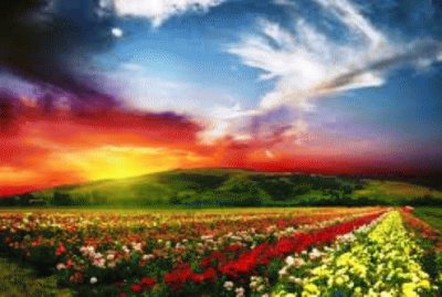 glorious sunset jigsaw puzzle