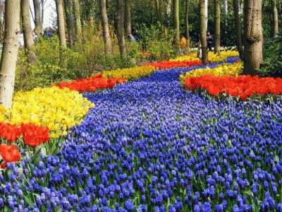 passagem de flores