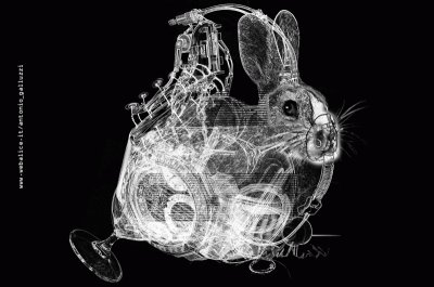 Rabbit 1.0 - 800 x 531 pixel jigsaw puzzle