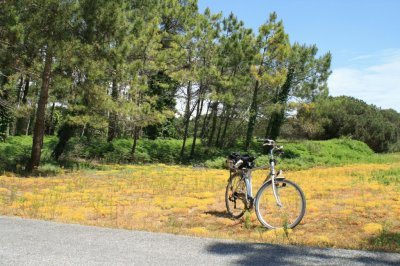 פאזל של VÃ©lo