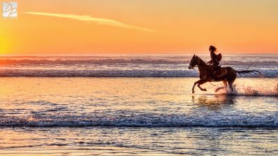 Into the Sunset-Oceano Dunes Pismo Beach