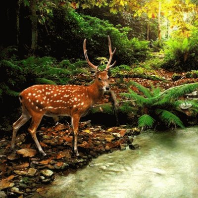 bambi jigsaw puzzle