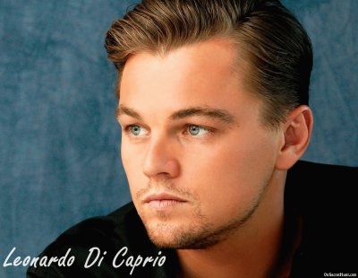 פאזל של Leonardo DiCaprio