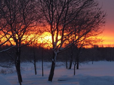 Winter sunrise