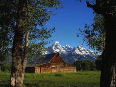 Country home beauty jigsaw puzzle