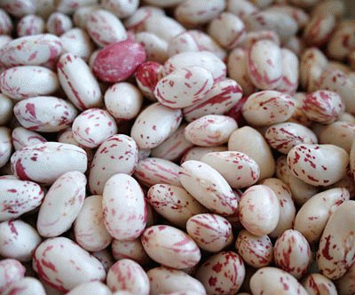 borlotti