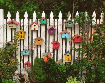 Birdhouse Garden