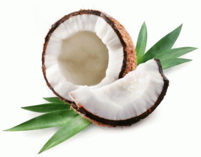 cocco