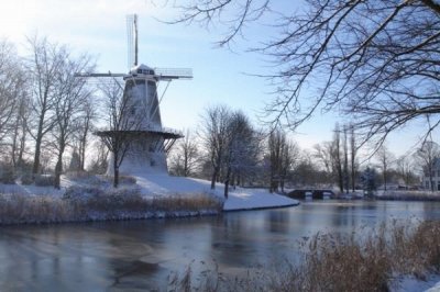 winter