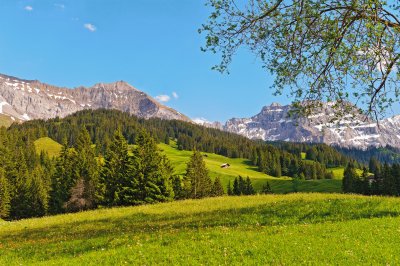 פאזל של Switzerland