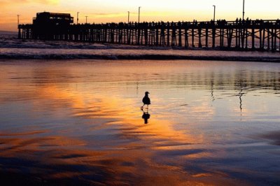 Sunset at Newport Pier-Newport Beach
