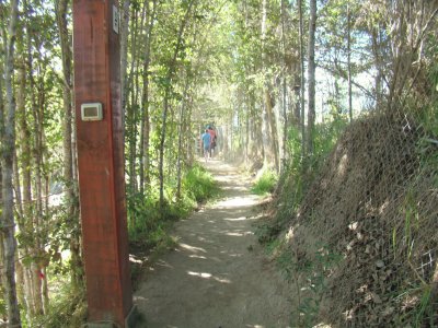 Camino jigsaw puzzle