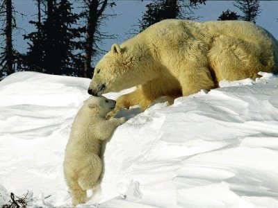 winter jigsaw puzzle