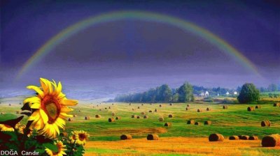 פאזל של arco iris