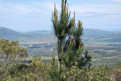 פאזל של EN LAS SIERRAS