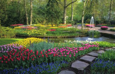 פאזל של Keukenhof