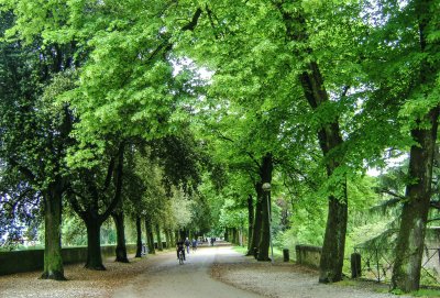 Relaxing bike ride jigsaw puzzle