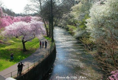 paisagem jigsaw puzzle