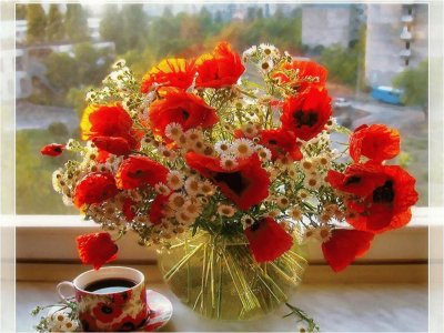 Poppies jigsaw puzzle