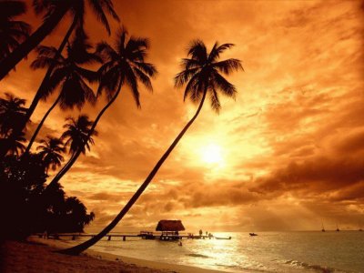 Beautiful Sunset jigsaw puzzle