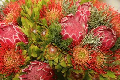 פאזל של Protea Bouquet