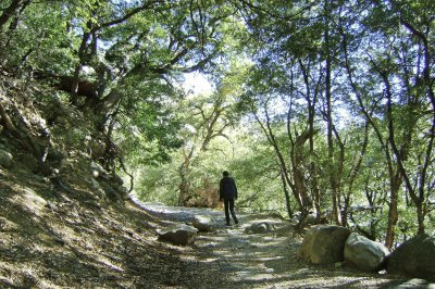 פאזל של Hetch-Hetchy hike