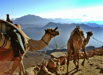 פאזל של Descent from Sinai