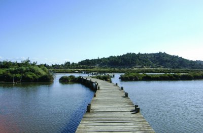 Peyriac lagoon jigsaw puzzle