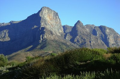 פאזל של Cape winelands