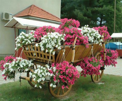 CaÃ§amba com as flores