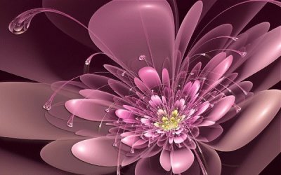 Pink Flower art