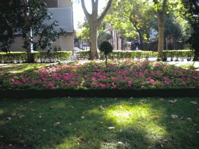 MADRID