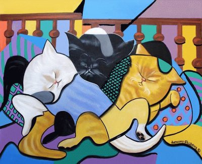 Gatos
