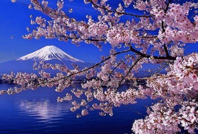 mont fuji japon jigsaw puzzle