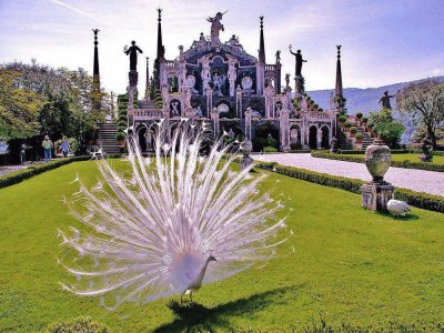 temple au paon jigsaw puzzle