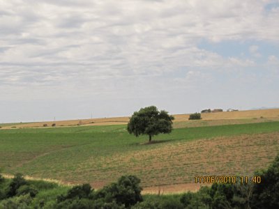 tuscia