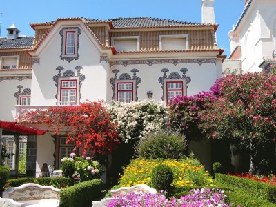 FaraÃ³n
