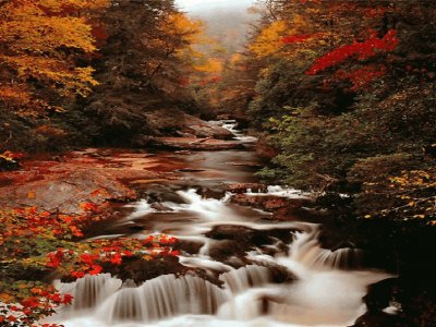 autum jigsaw puzzle