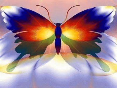 Butterfly jigsaw puzzle