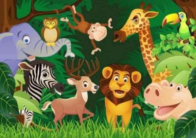 selva jigsaw puzzle