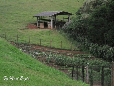 HORTA
