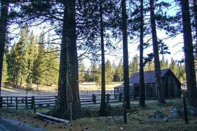 Cabin in woods CA