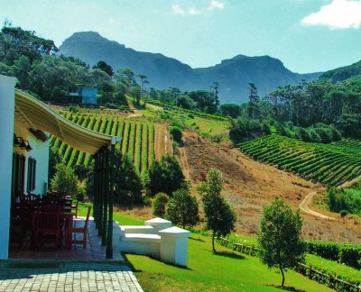 Klein Constantia Vineyard Cape Town jigsaw puzzle