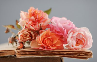roses jigsaw puzzle