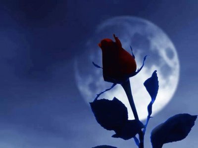 Noite