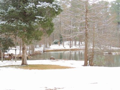 Lake With Snow jigsaw puzzle