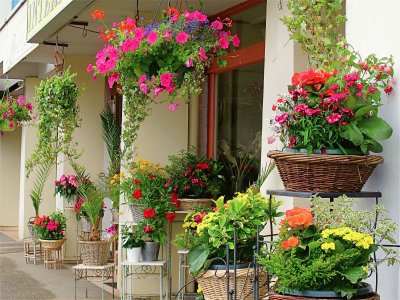 פאזל של FloristerÃ­a en BretaÃ±a (Francia)