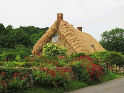 פאזל של cottage