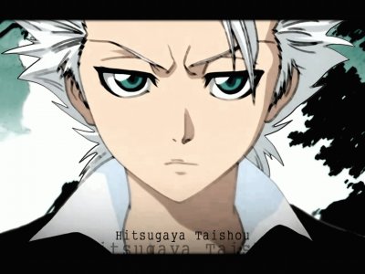 פאזל של hitsugaya