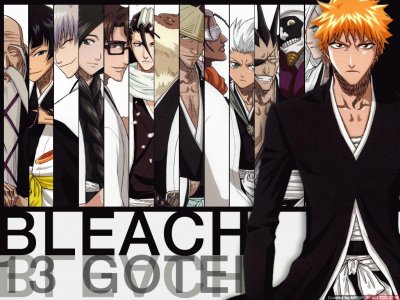 gotei 13 jigsaw puzzle